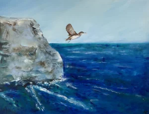 Freedom