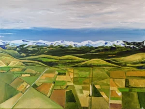 Canterbury Plains