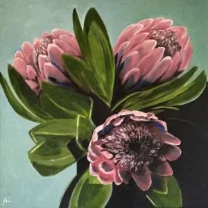 Proteas